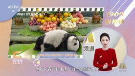 亚洲国产日韩精品
